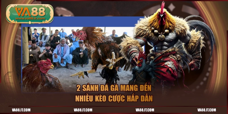 2 sảnh đá gà mang đến nhiều kèo cược hấp dẫn
