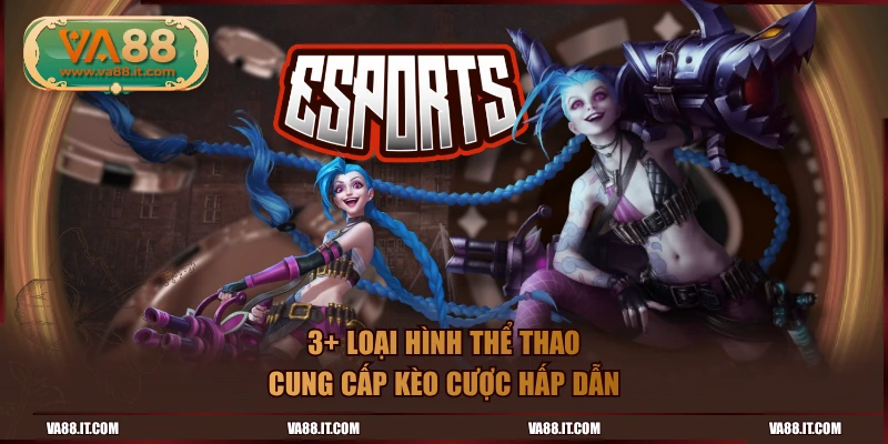 3+ loại hình thể thao cung cấp kèo cược hấp dẫn