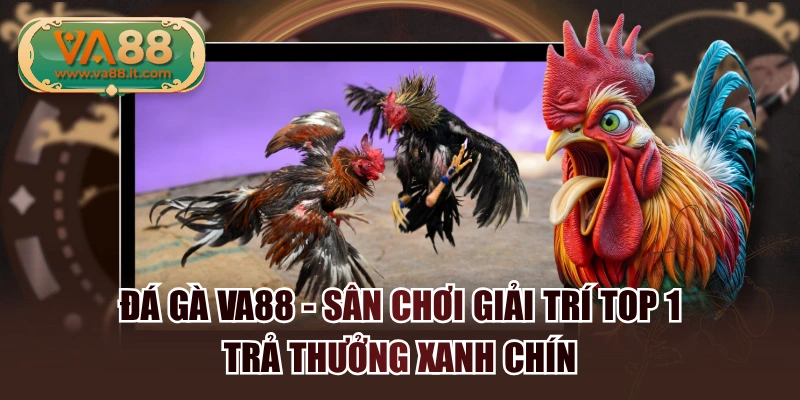 Đá Gà VA88 - Sân Chơi Giải Trí Top 1, Trả Thưởng Xanh Chín
