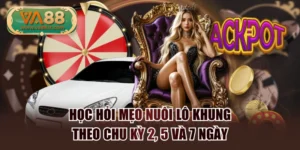 Học Hỏi Mẹo Nuôi Lô Khung Theo Chu Kỳ 2, 5 Và 7 Ngày