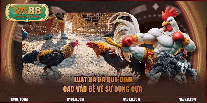 Luật đá gà quy định các vấn đề về sử dụng cựa 