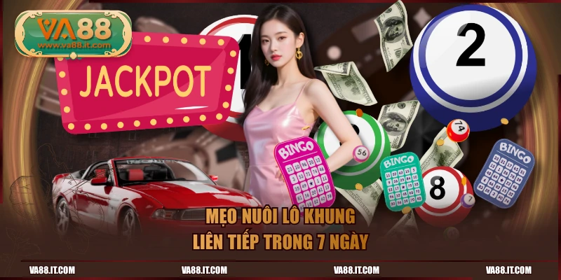 Mẹo nuôi lô khung liên tiếp trong 7 ngày