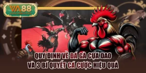 Quy Định Về Đá Gà Cựa Dao Và 3 Bí Quyết Cá Cược Hiệu Quả