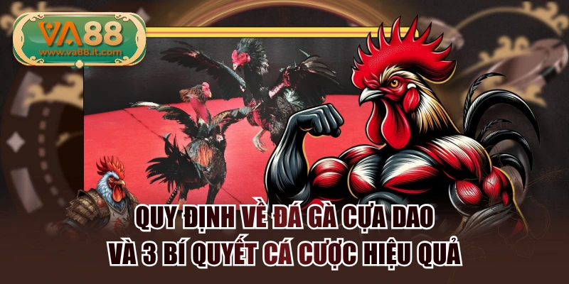 Quy Định Về Đá Gà Cựa Dao Và 3 Bí Quyết Cá Cược Hiệu Quả
