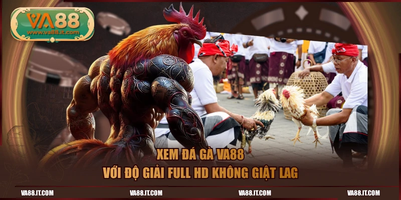 Xem đá gà VA88 với độ giải Full HD không giật lag
